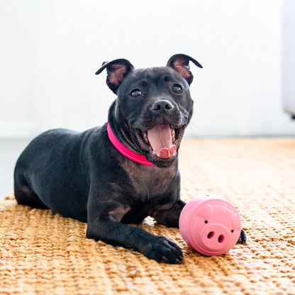 Happy Staffy Co. Poppy Pig Treat Dispenser