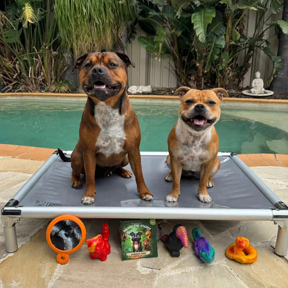 Happy Staffy Co. PowerFlex Jungle Trek Collection Dog Chew Toy