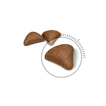 ROYAL CANIN Hairball Care 2kg