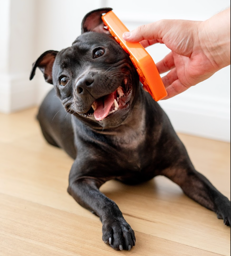Happy Staffy Co. Chewzilla iBone Dog Chew Toy