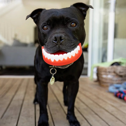 Happy Staffy Co. Chatter Chompers Dog Chew Toy