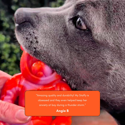 Happy Staffy Co. Astro Pup Dog Chew Toy
