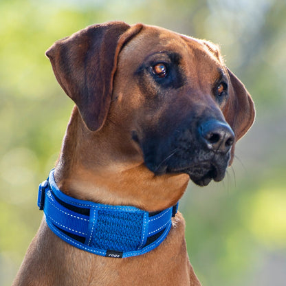 Rogz Utility Classic PaddedCollar Pink Xxlge