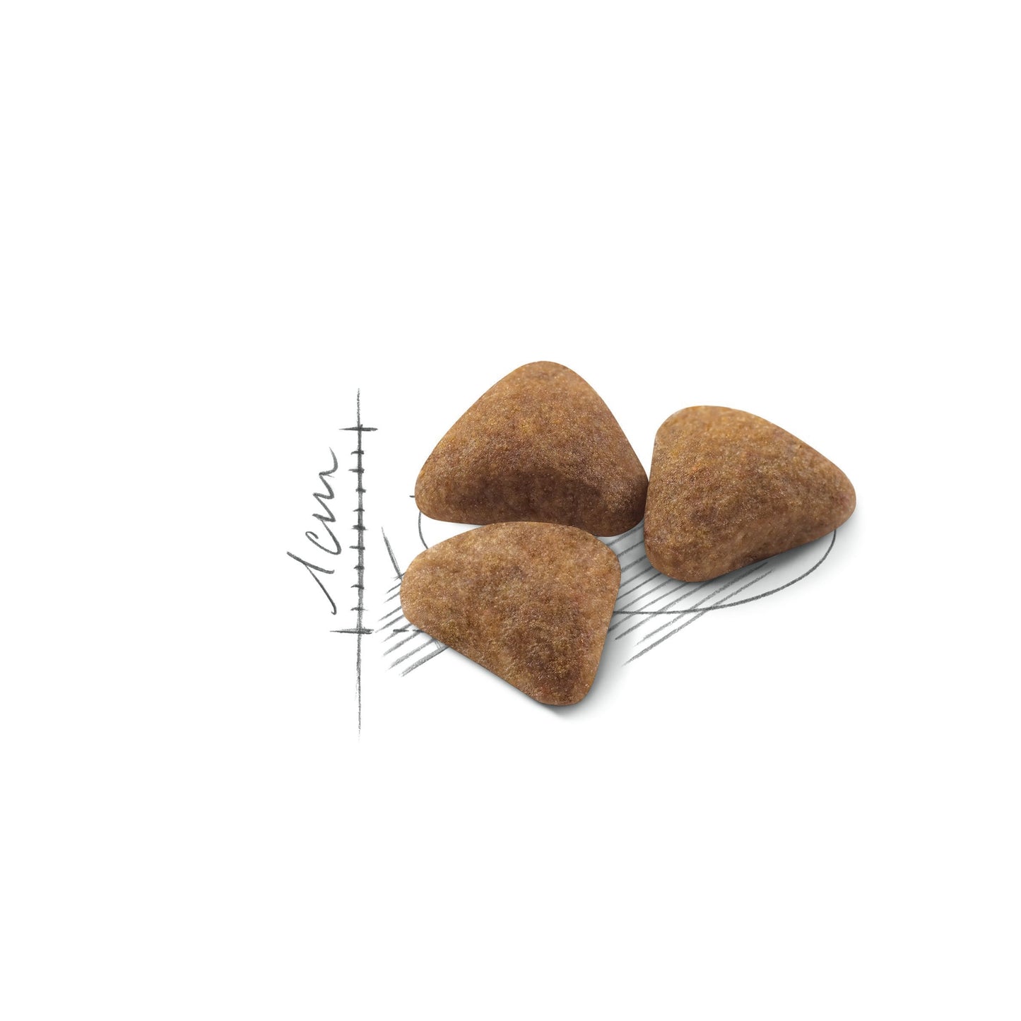 ROYAL CANIN Indoor Adult Cat Food 2kg