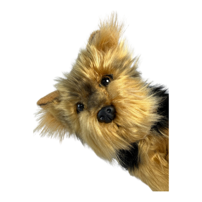 Bocchetta Plush Archie - Australian Yorkshire Terrier - 28cm, sitting