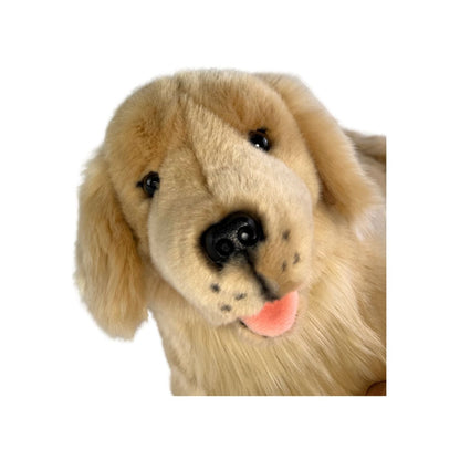 Bocchetta Plush Lucky - Golden Retriever - 50cm, lying