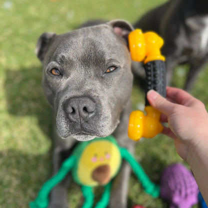 Happy Staffy Co. Power Chew Phone Dog Chew Toy