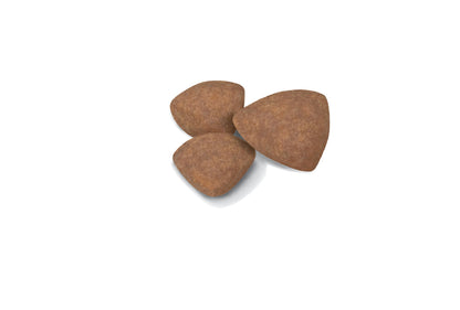 ROYAL CANIN Mini Puppy Dog Food 2kg
