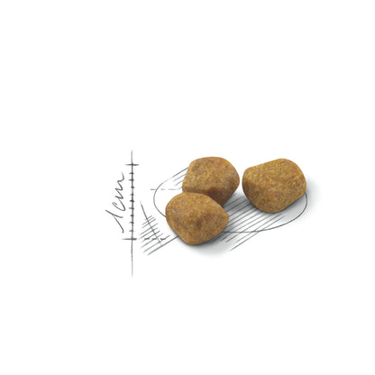 ROYAL CANIN INDOOR Mature Cat Food 7+ 1.5kg