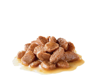 ROYAL CANIN Instinctive Cat Food in Gravy 85g