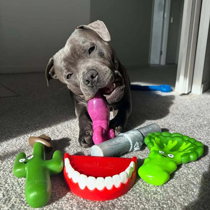 Happy Staffy Co. Chomp-o-potamus Dog Chew Toy