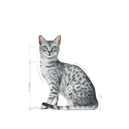 ROYAL CANIN Indoor Jelly Cat Pouch 85g