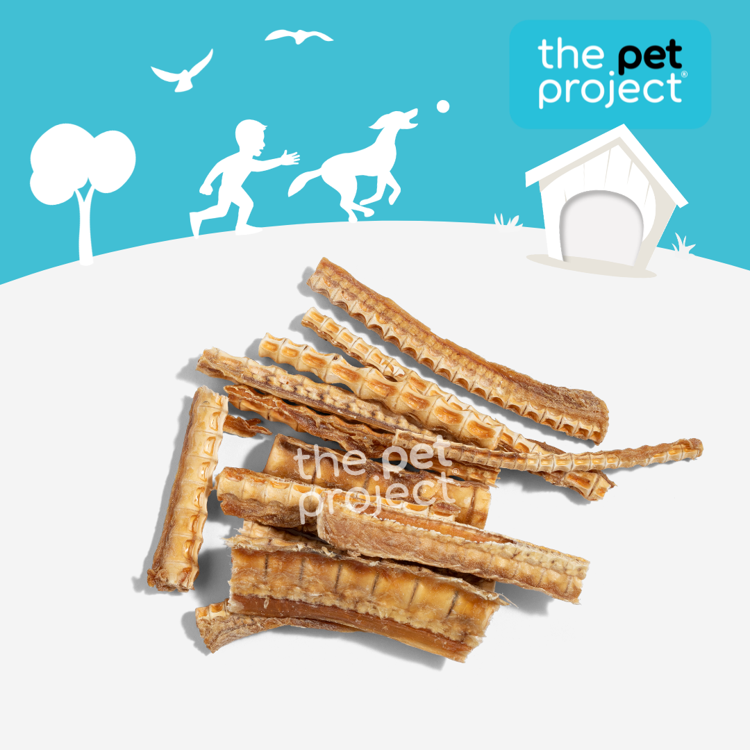 THE PET PROJECT AUSTRALIAN SHARK CARTILAGE 300G