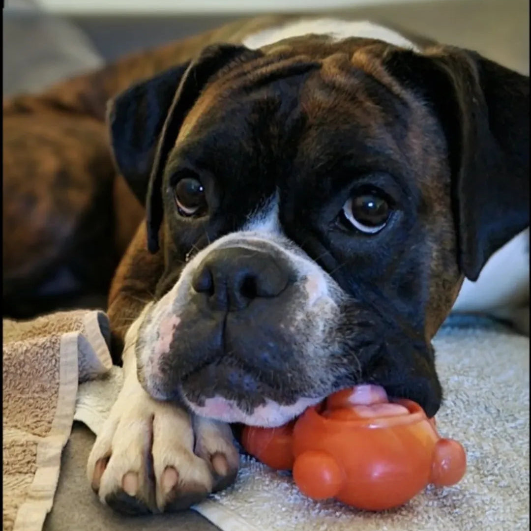 Happy Staffy Co. Astro Pup Dog Chew Toy