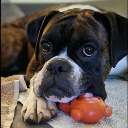 Happy Staffy Co. Astro Pup Dog Chew Toy