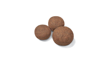 ROYAL CANIN Medium Breed Puppy Food 4kg