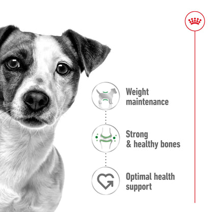 ROYAL CANIN Mini Breed Adult Dog Food 2kg