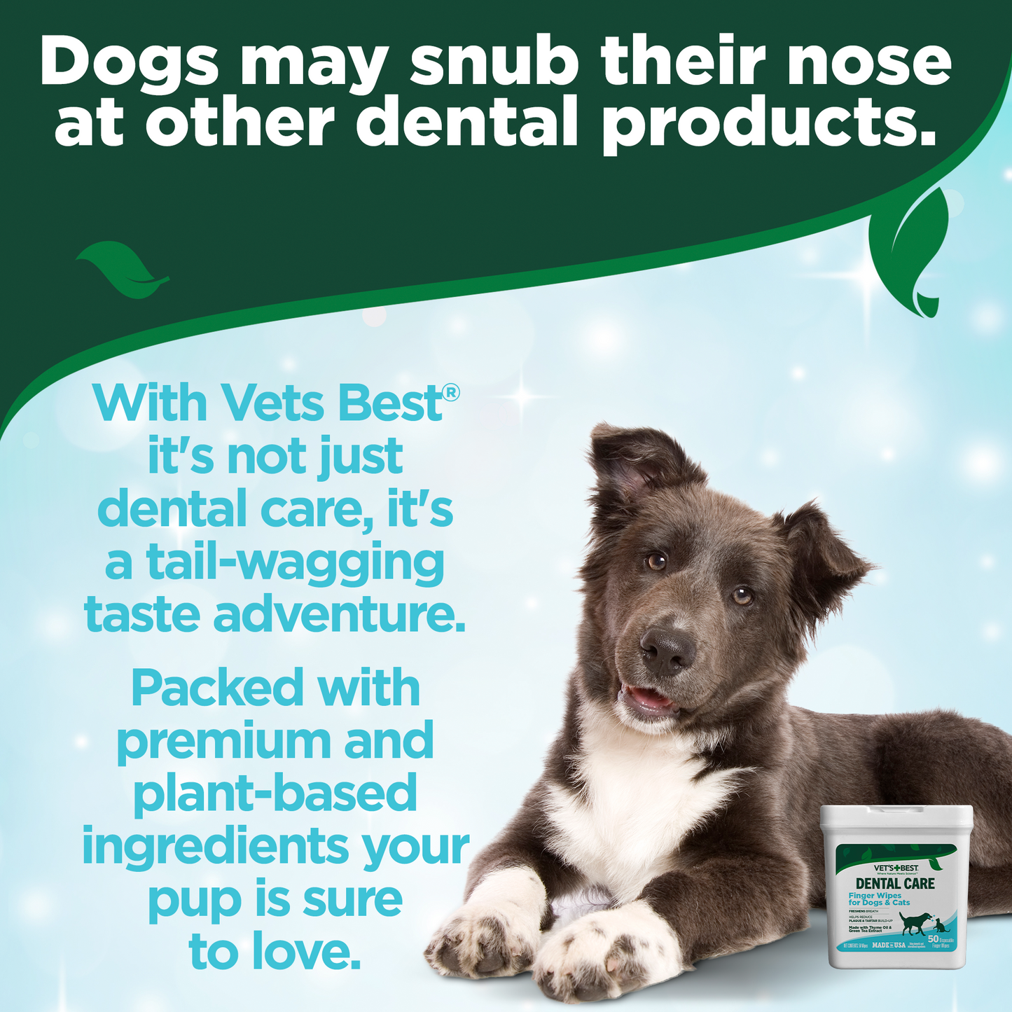 VET'S BEST Clean Teeth Finger Pads
