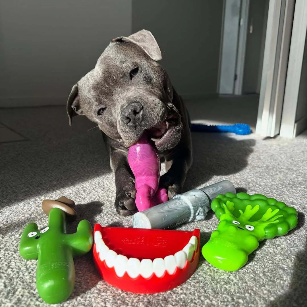 Happy Staffy Co. Chatter Chompers Dog Chew Toy