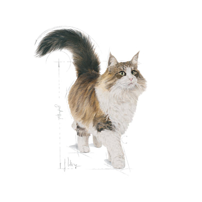 ROYAL CANIN Instinctive Cat Food in Gravy 85g