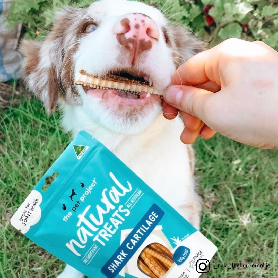 THE PET PROJECT AUSTRALIAN SHARK CARTILAGE 300G