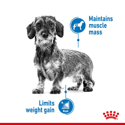 ROYAL CANIN Mini Light Weight Care Dog Food 3kg