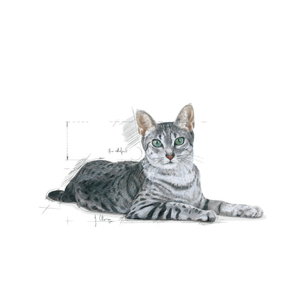 ROYAL CANIN INDOOR Mature Cat Food 7+ 1.5kg
