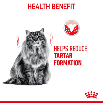 ROYAL CANIN Dental Care Adult Cat Food 1.5kg