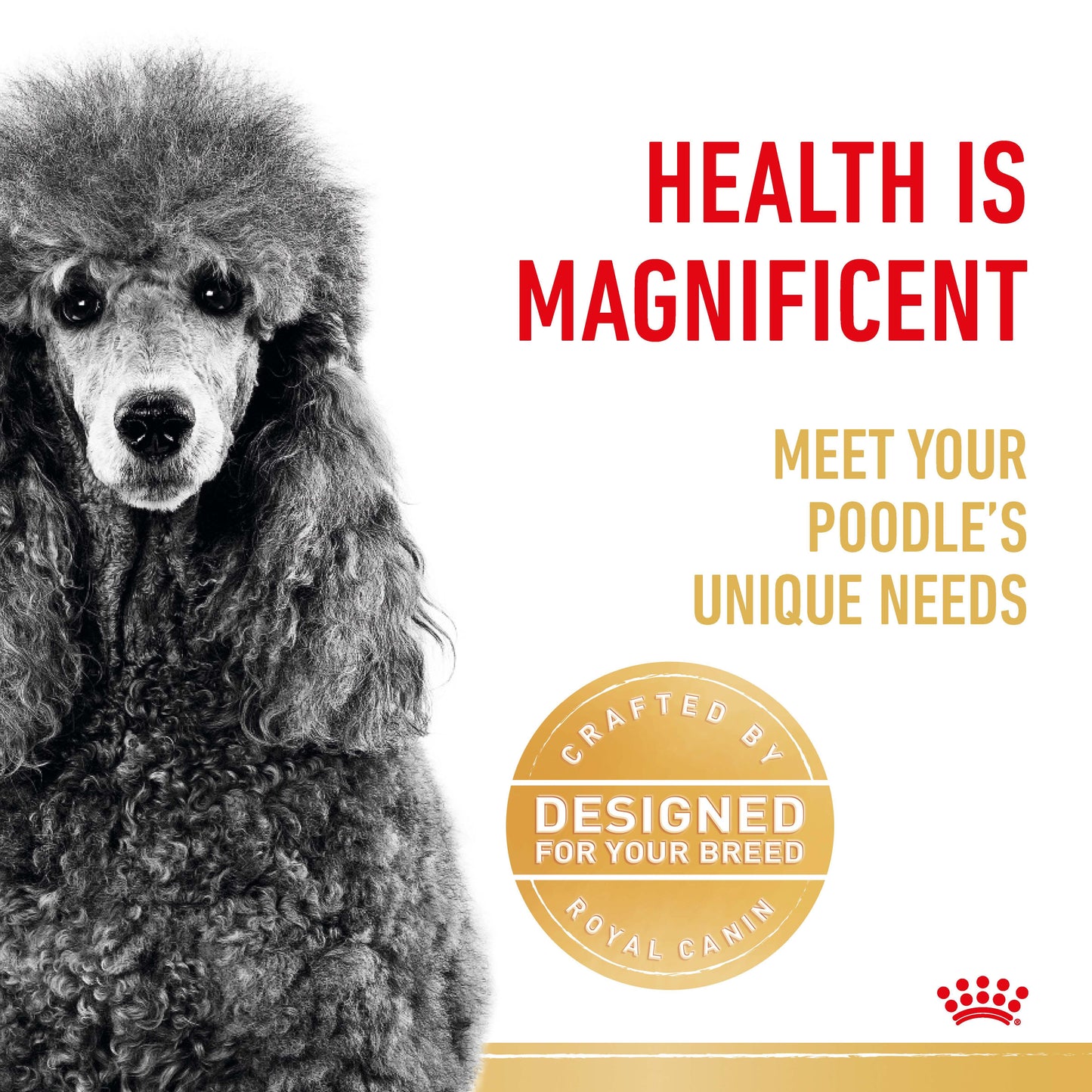 ROYAL CANIN Poodle Adult 1.5kg