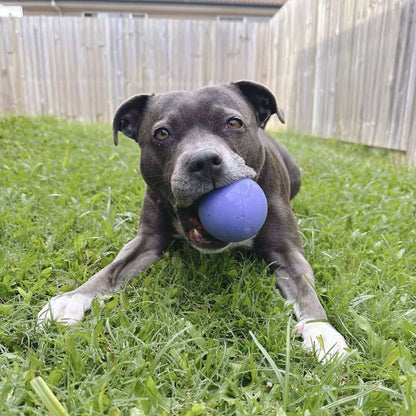 Happy Staffy Duraball