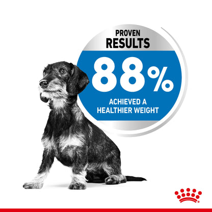 ROYAL CANIN Mini Light Weight Care Dog Food 3kg