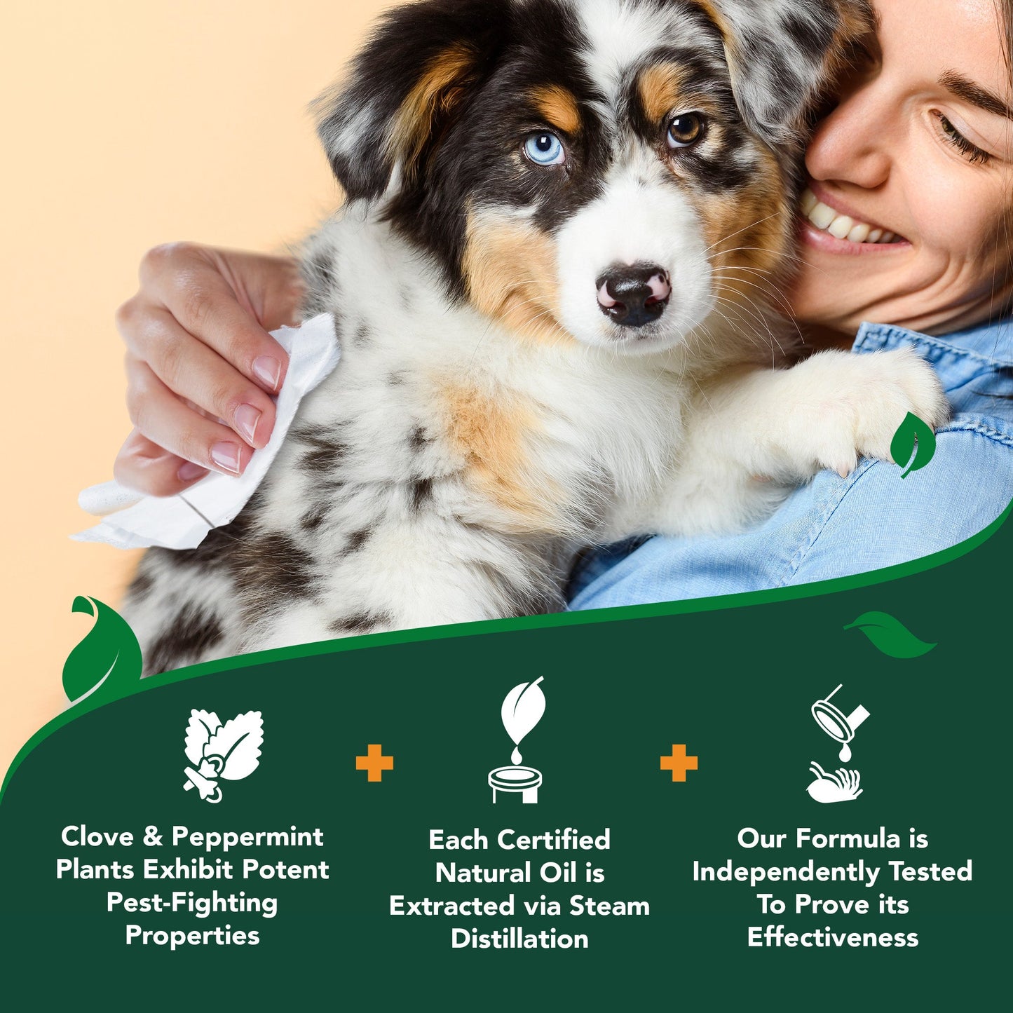 VET'S BEST Flea & Tick Wipes for Dogs