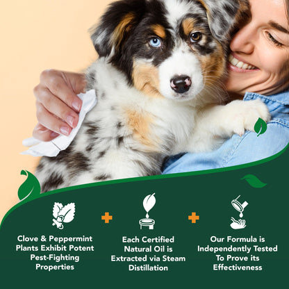 VET'S BEST Flea & Tick Wipes for Dogs