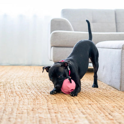 Happy Staffy Co. Poppy Pig Treat Dispenser
