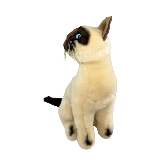 Bocchetta Plush Noodles - Siamese Cat - 26cm, sitting