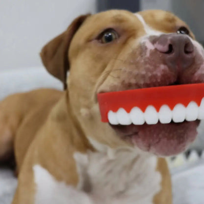 Happy Staffy Co. Chatter Chompers Dog Chew Toy