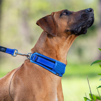 Rogz Utility Classic PaddedCollar Pink Xxlge