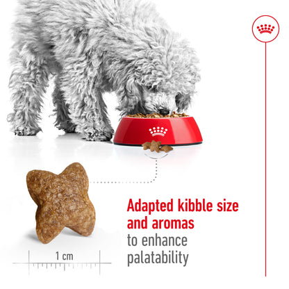 ROYAL CANIN Mini Breed Adult Dog Food 2kg