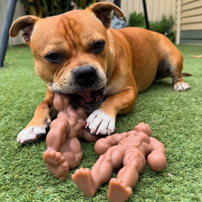 Happy Staffy Co. Staffy Balboa Dog Chew Toy