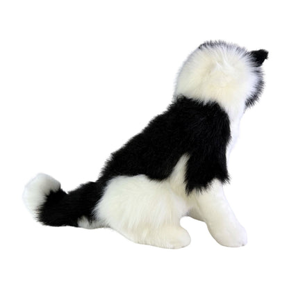 Bocchetta Plush Tommy - Border Collie - 35cm, sitting