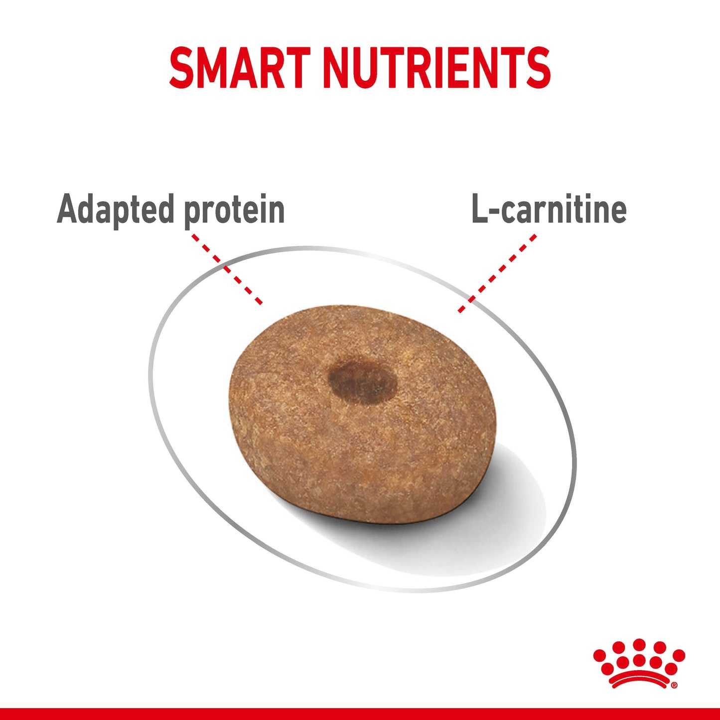 ROYAL CANIN Mini Light Weight Care Dog Food 3kg