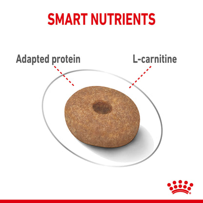 ROYAL CANIN Mini Light Weight Care Dog Food 3kg