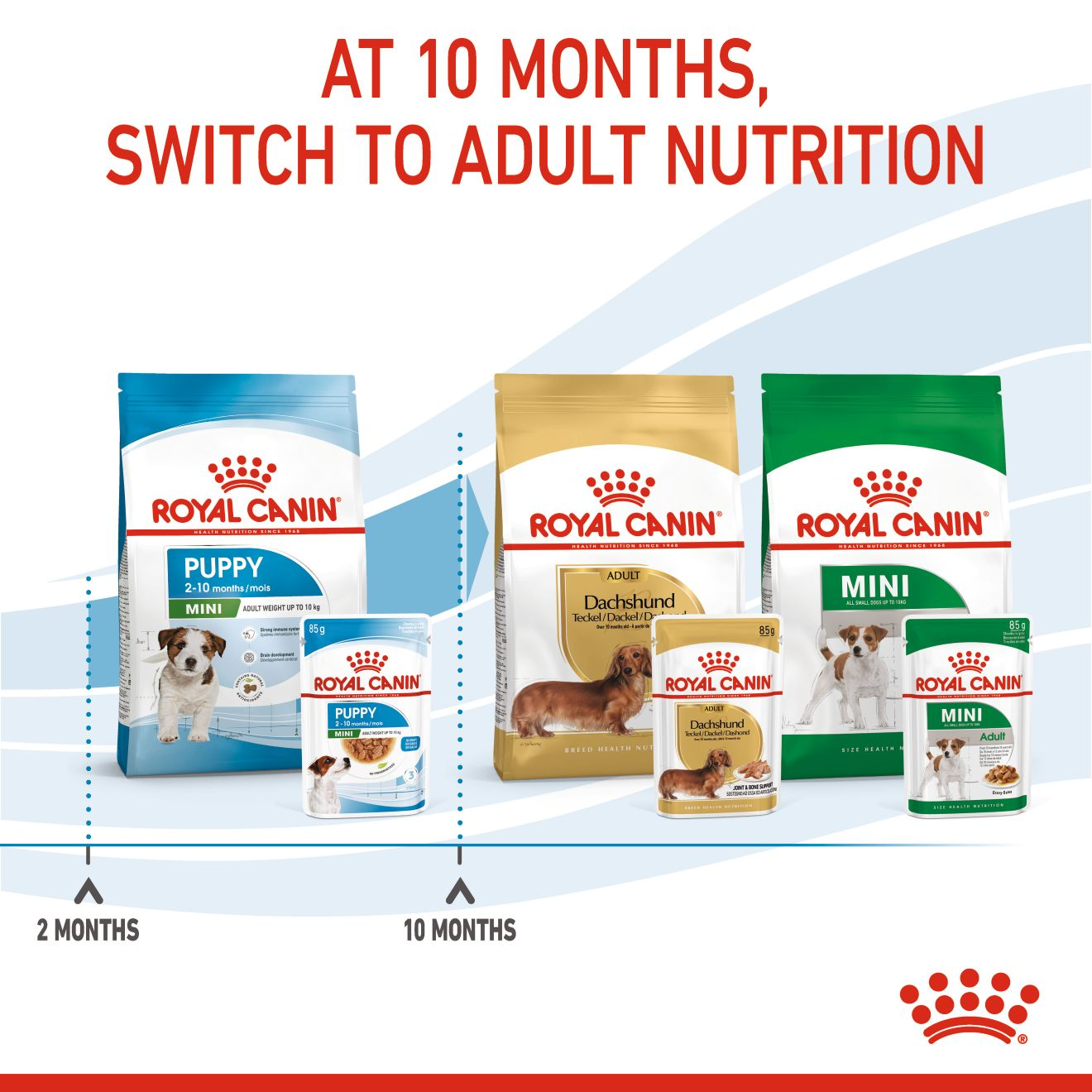 ROYAL CANIN Mini Breed Adult Pouch 85g