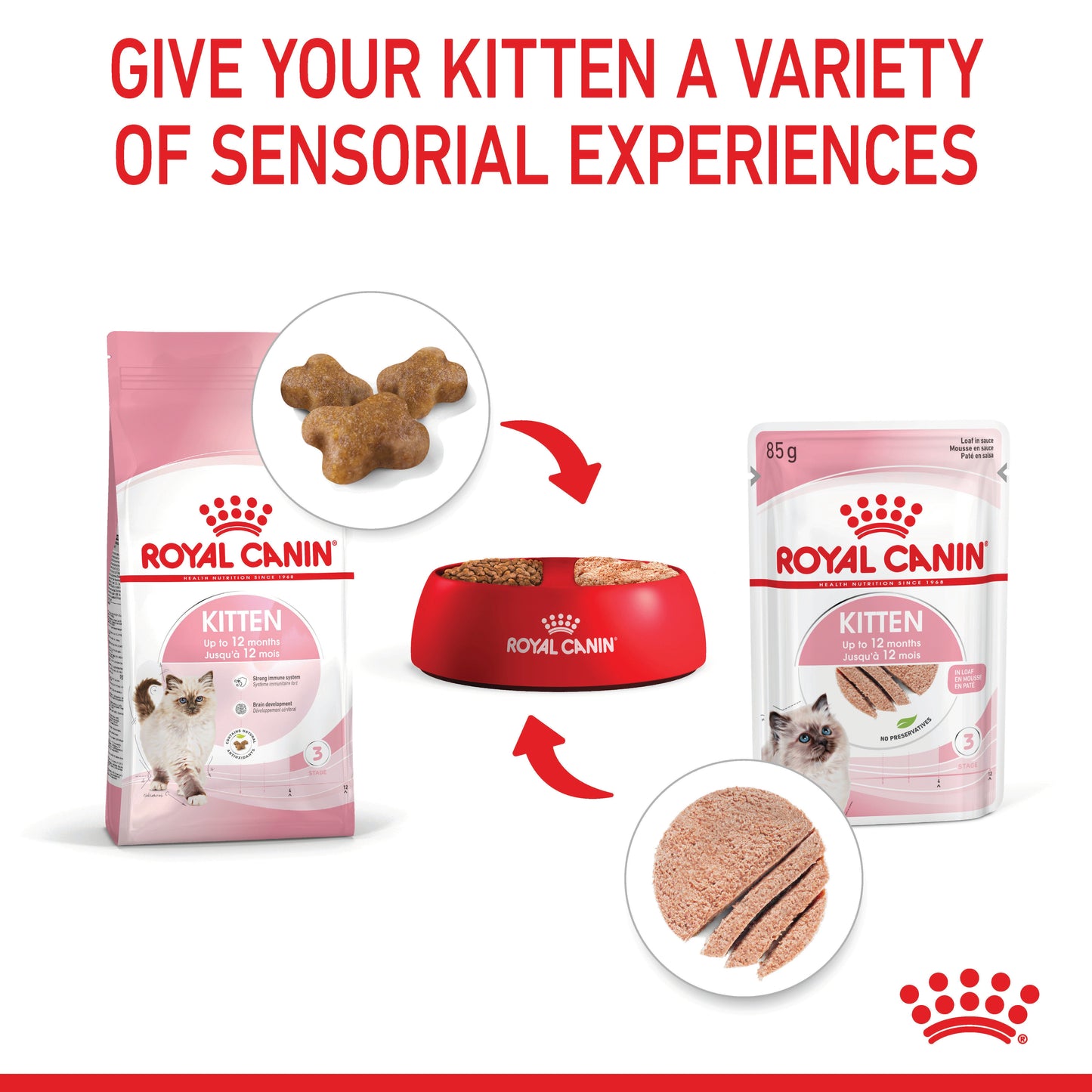 ROYAL CANIN Kitten Loaf Kitten Food Pouch 85g