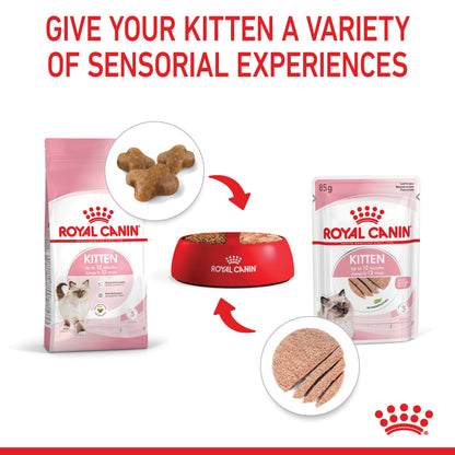 ROYAL CANIN Kitten Loaf Kitten Food Pouch 85g