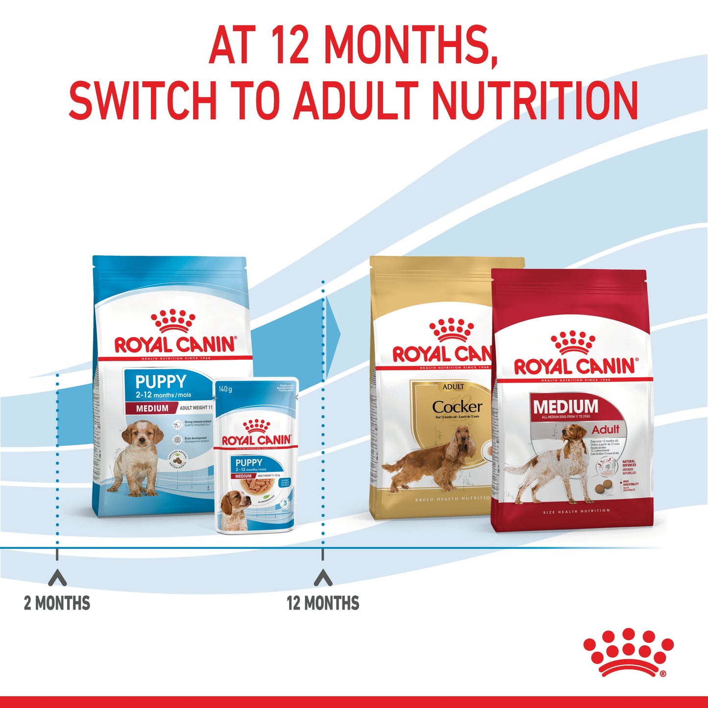 ROYAL CANIN Medium Breed Puppy Food 4kg