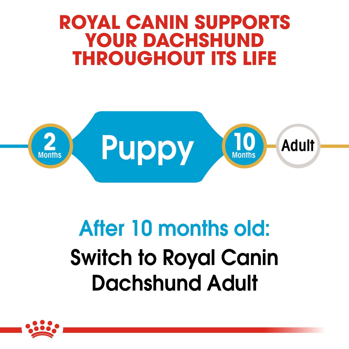 ROYAL CANIN Dachshund Puppy Food 1.5kg