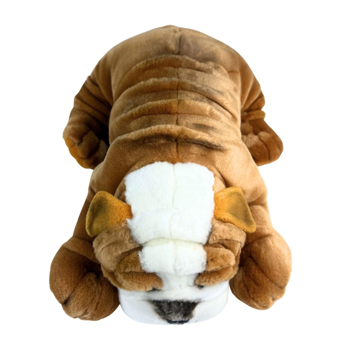 Bocchetta Plush Boston - Bulldog - 35cm, lying