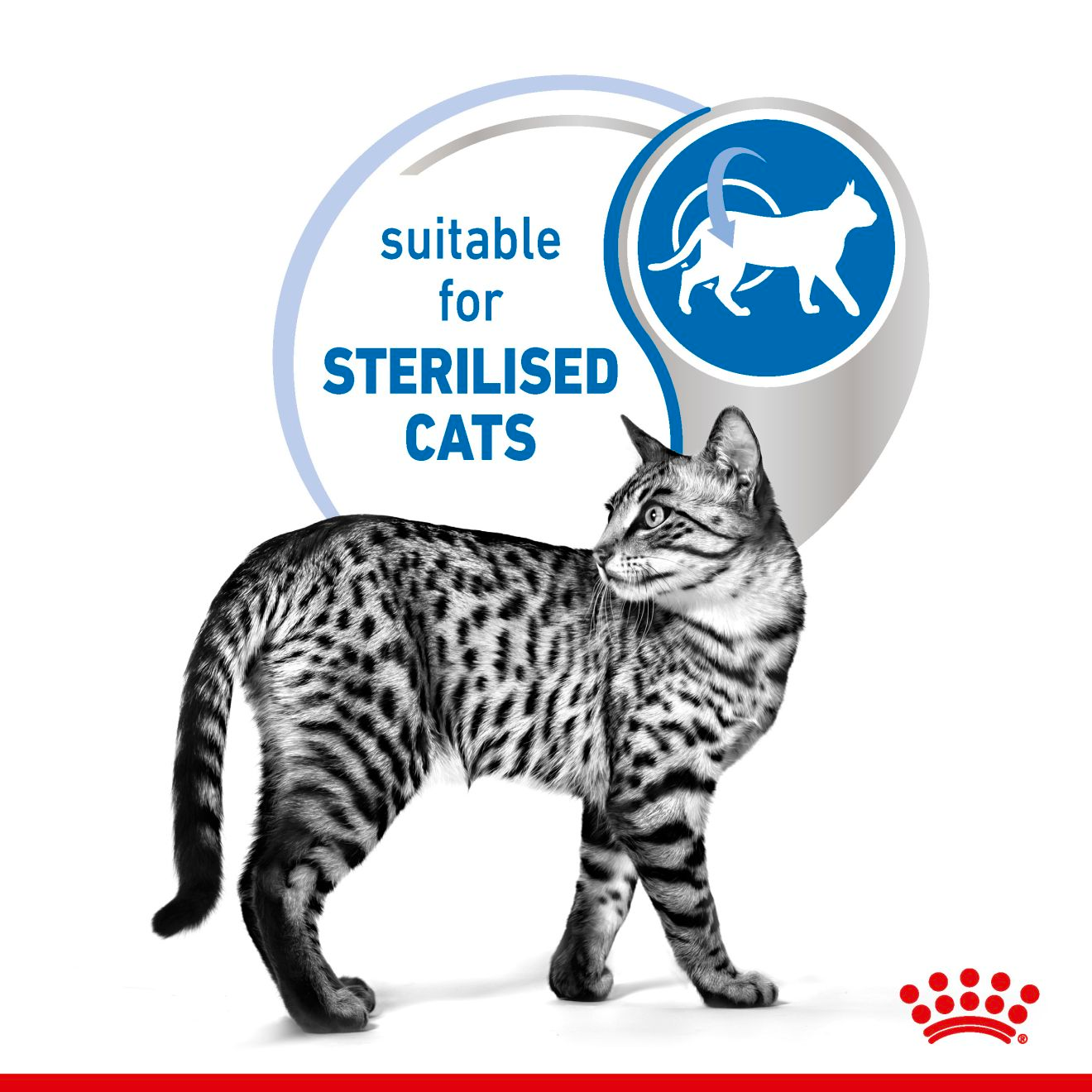 ROYAL CANIN Indoor Jelly Cat Pouch 85g