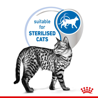 ROYAL CANIN Indoor Jelly Cat Pouch 85g